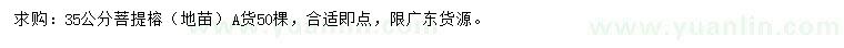 求購35公分菩提榕