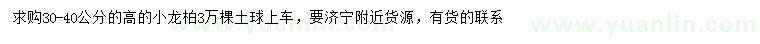 求購高30-40公分小龍柏