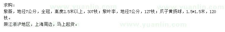 求購紫薇、紫葉李、爪子黃揚球