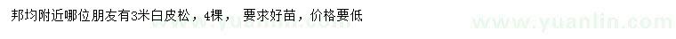 求購(gòu)3米白皮松