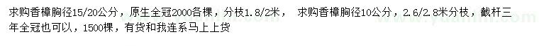 求購胸徑10、15、20公分香樟