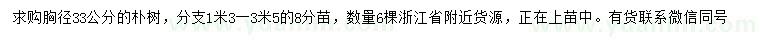 求購(gòu)胸徑33公分樸樹