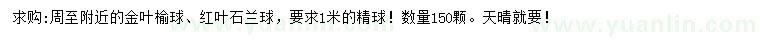 求購1米金葉榆球、紅葉石蘭球