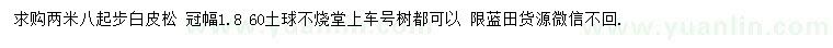 求購2.8米起步白皮松