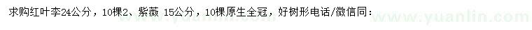 求購24公分紅葉李、15公分紫薇