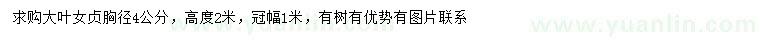 求購胸徑4公分大葉女貞