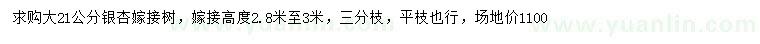 求購(gòu)21公分銀杏