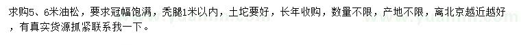 求購5、6米油松