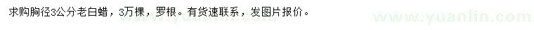 求購(gòu)胸徑3公分老白蠟