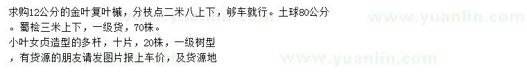 求購(gòu)金葉復(fù)葉槭、蜀檜、小葉女貞