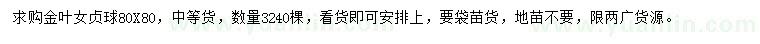 求購金葉女貞球