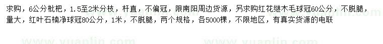求購枇杷、紅花繼木、紅葉石楠