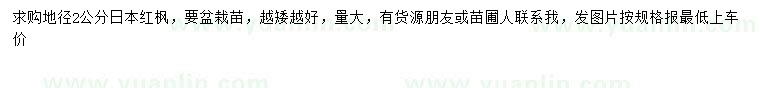 求購地徑2公分日本紅楓