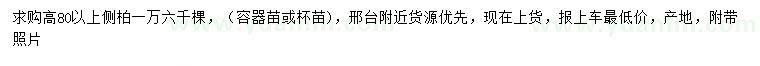 求購(gòu)高80公分以上側(cè)柏