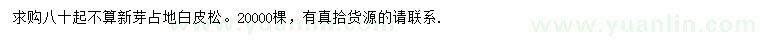 求購80公分起白皮松