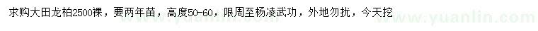 求購高50-60公分大田龍柏