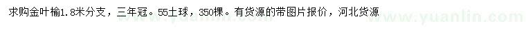 求購(gòu)金葉榆