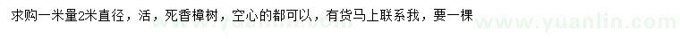 求購1米量直徑2米大香樟