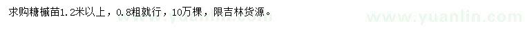 求購1.2米以上糖槭苗