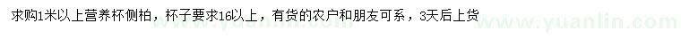 求購1米以上側(cè)柏