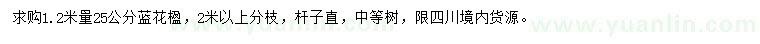 求購(gòu)1.2米量25公分藍(lán)花楹