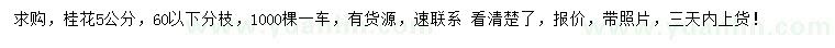求購5公分桂花