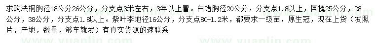 求購法桐、白蠟、國槐等
