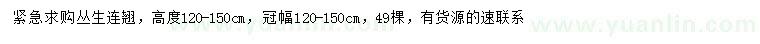 求購高120-150公分叢生連翹