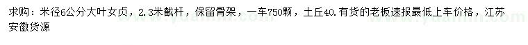 求購米徑6公分大葉女貞
