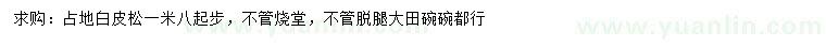 求購(gòu)1.8米起步白皮松