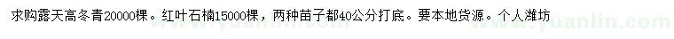 求購40公分露天高冬青、紅葉石楠