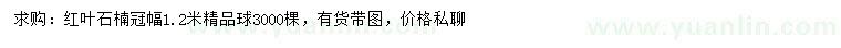 求購冠幅1.2米紅葉石楠