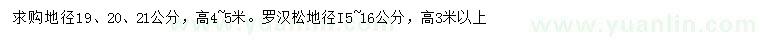 求購地徑15、16、19、20、21公分造型羅漢松