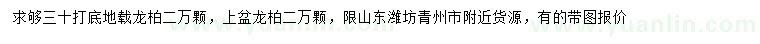 求購30公分龍柏、上盆龍柏