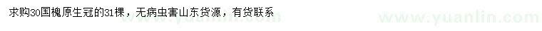 求購(gòu)30公分國(guó)槐
