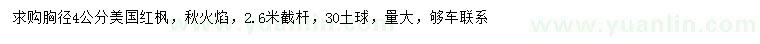 求購4公分美國紅楓秋火焰