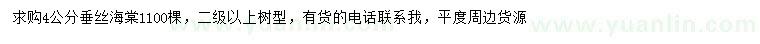 求購4公分垂絲海棠