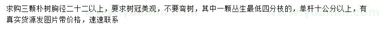 求購胸徑22公分以上樸樹