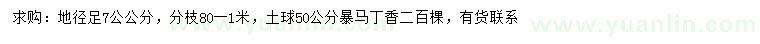 求購地徑7公公分暴馬丁香