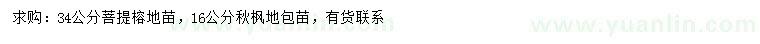 求購(gòu)34公分菩提榕、16公分秋楓