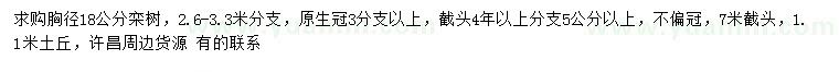 求購18公分欒樹