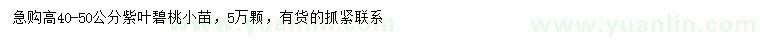 求購高40-50公分紫葉碧桃