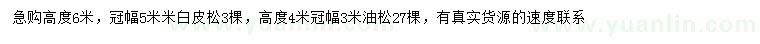 求購(gòu)高6米白皮松、高4米油松