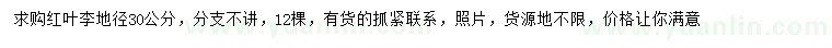 求購地徑30公分紅葉李