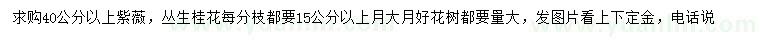 求購40公分以上紫薇、叢生桂花