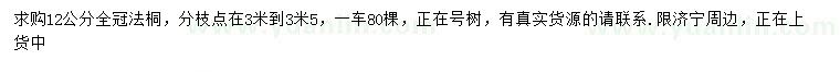 求購12公分法桐