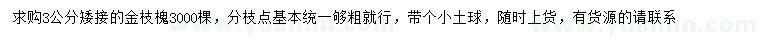 求購(gòu)3公分矮接金枝槐
