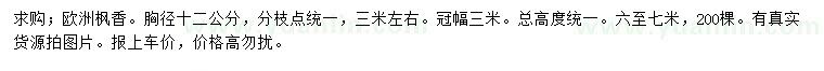 求購胸徑12公分歐洲楓香