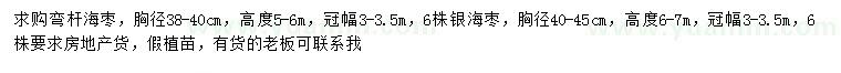 求購胸徑38- 40公分海棗、40-45公分銀海棗