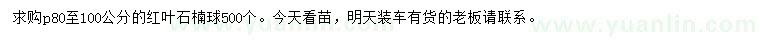 求購冠幅80-100公分紅葉石楠球